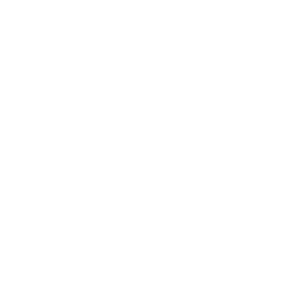 GitHub profile